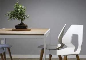 Painters and Decorators