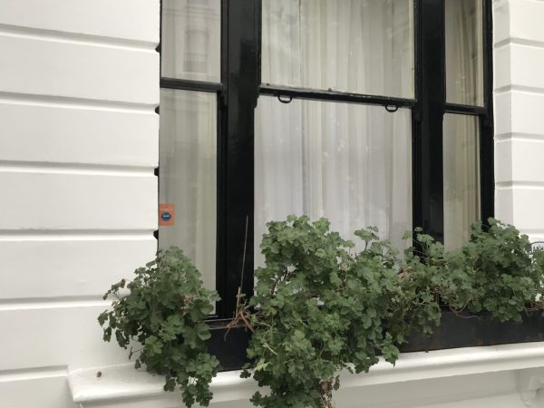 Photo 16-12-2021, 12 38 47